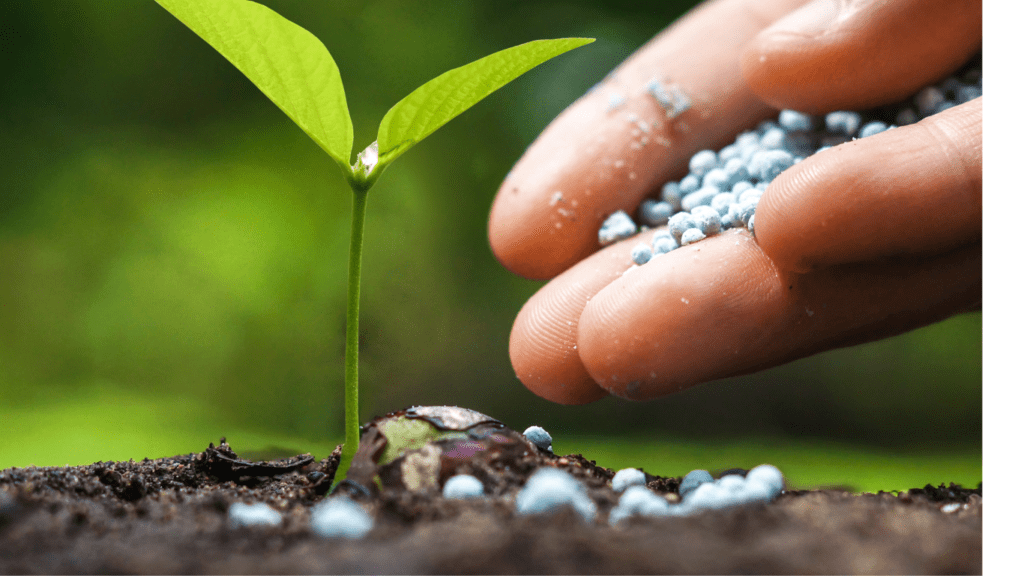 what are the effective Strategies for Controlling Air Pollution in India? 7 Agriculture