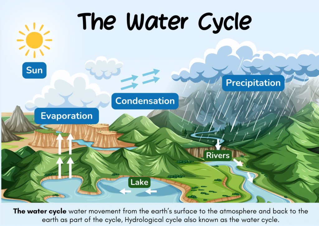 Hydrological cycle also known as the water cycle.