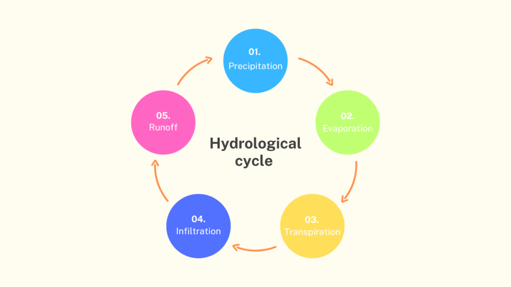 Water Cycle, Stages, thecivilstudies