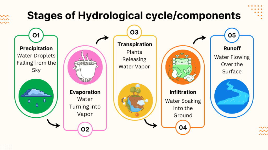 Stages of Hydrological cycle and important components