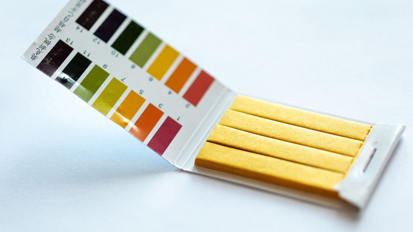 You are currently viewing pH Scale: Understanding Acidity and Alkalinity for a Balanced Life