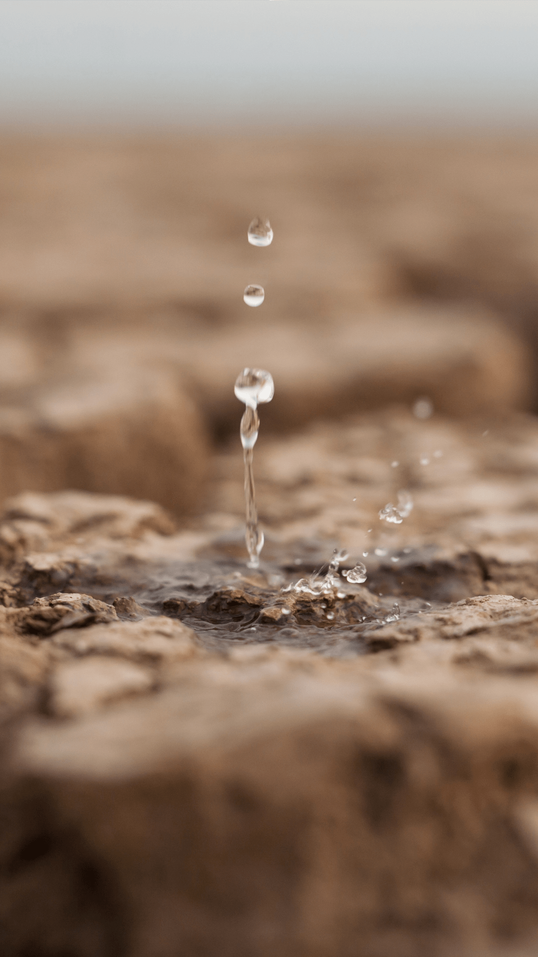 Rain Water Harvesting