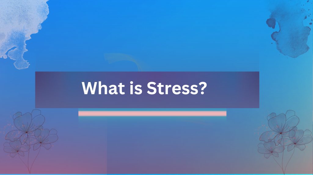 What is Stress