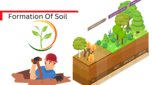 Soil Fomation