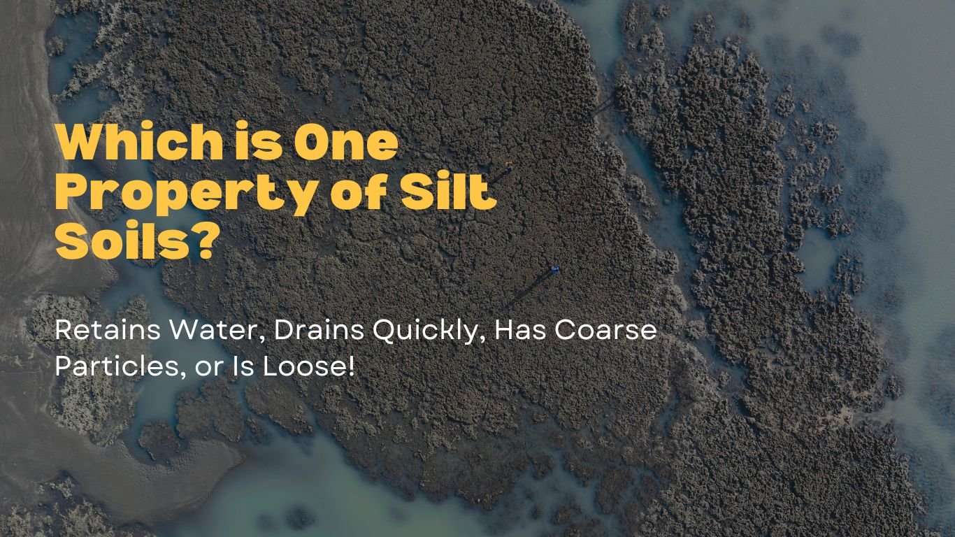 Close-up of silt soil particles, showcasing its fine texture, high water retention, and nutrient-holding properties in soil engineering