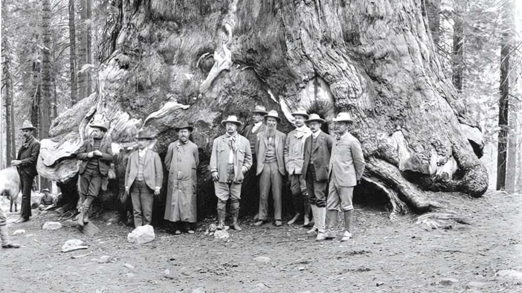 Engineering1892 – Founding of the Sierra Club